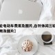 【三轮电动车费用及图片,台铃休闲三轮电动车费用及图片】