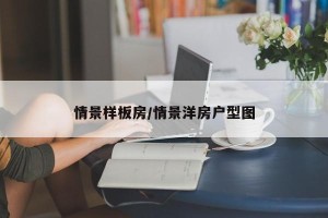 情景样板房/情景洋房户型图
