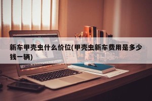 新车甲壳虫什么价位(甲壳虫新车费用是多少钱一辆)