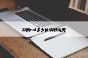 奔腾nat多少伏/奔腾电源