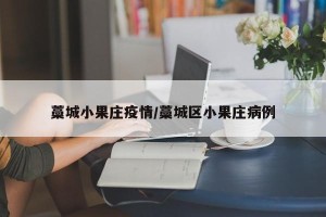 藁城小果庄疫情/藁城区小果庄病例