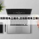 【沈阳新增本土确诊,沈阳新增本土确诊 轨迹】