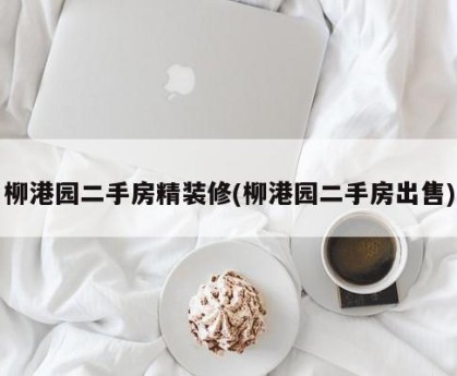 柳港园二手房精装修(柳港园二手房出售)
