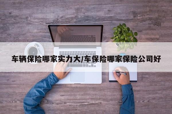 车辆保险哪家实力大/车保险哪家保险公司好